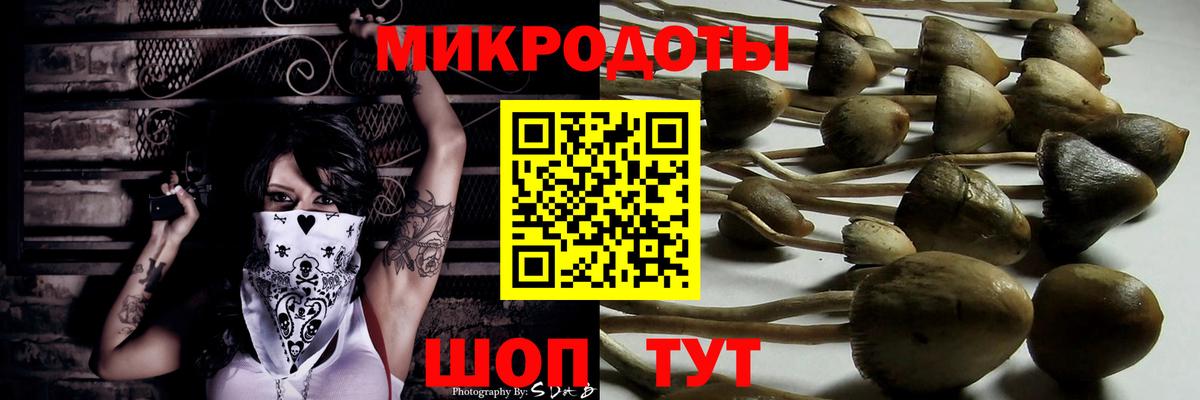 Галлюциногенные грибы мицелий  магазин    Ульяновск  Вход с VPN  Псилоцибиновые грибы MAGIC MUSHROOMS 
